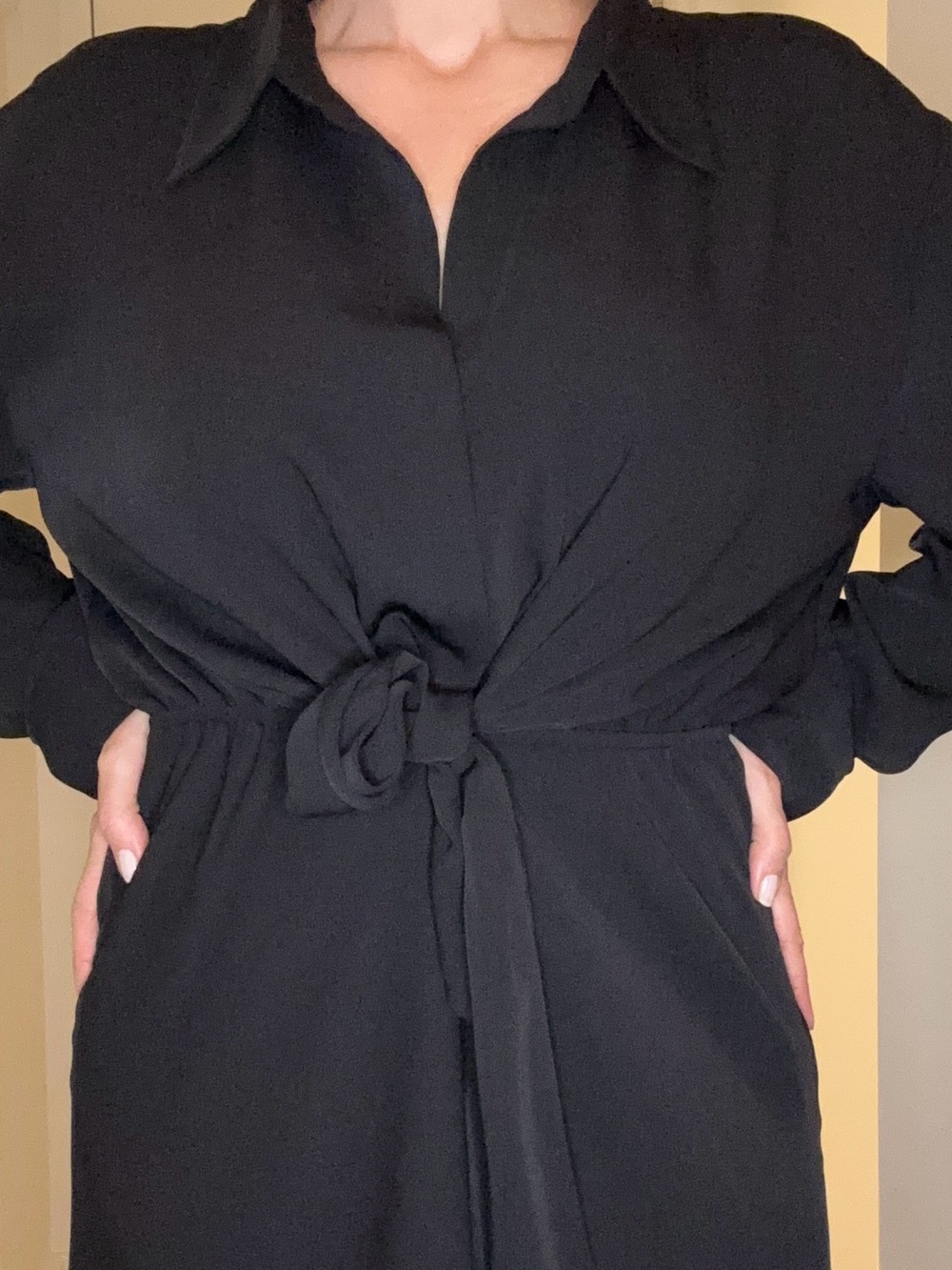 Babaton (Aritzia) Black Tie-Waist Long Dress - Picture 6 of 8